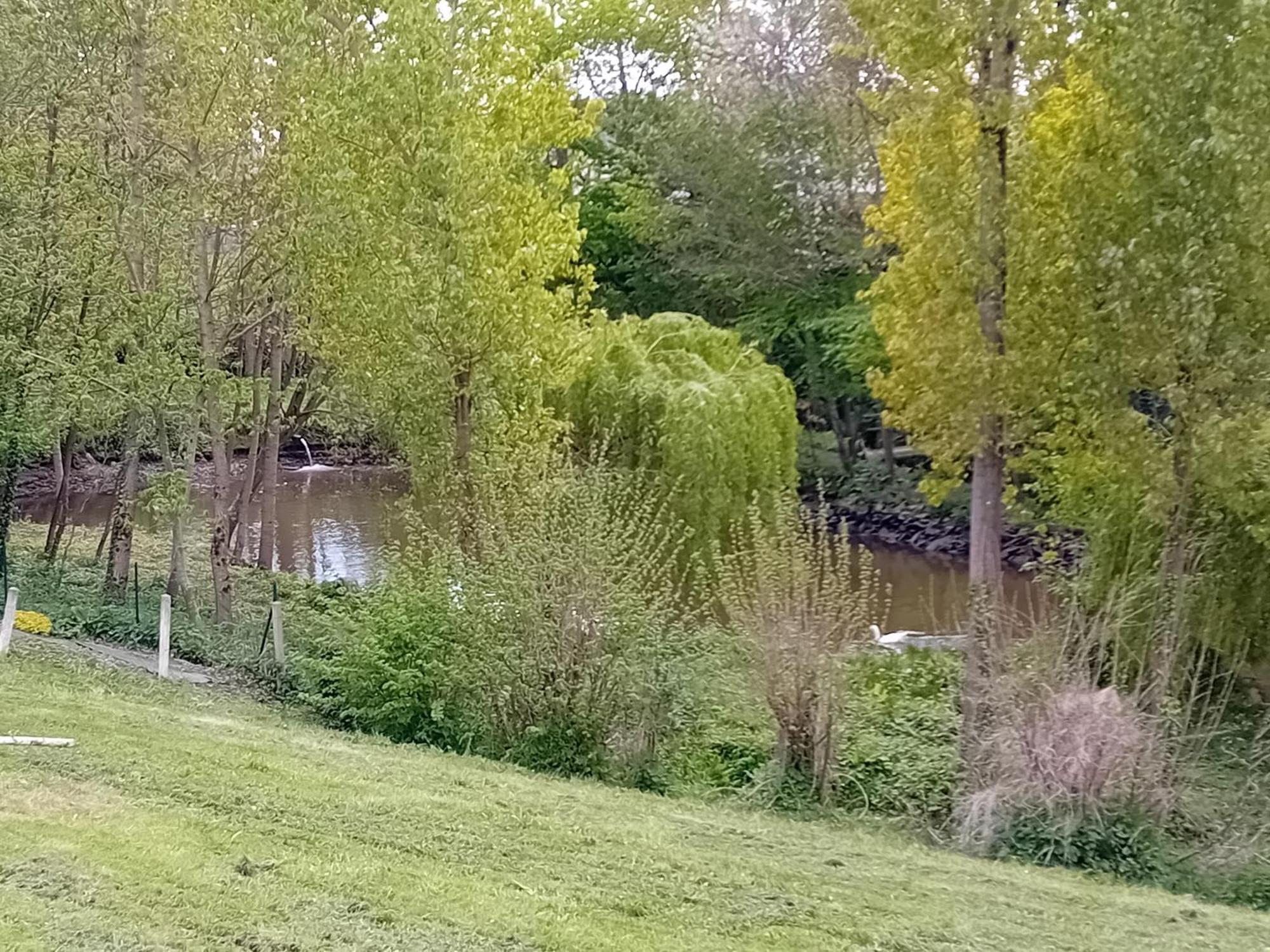 Maison Au Coeur De La Nature Cerisy-la-Foret Zewnętrze zdjęcie